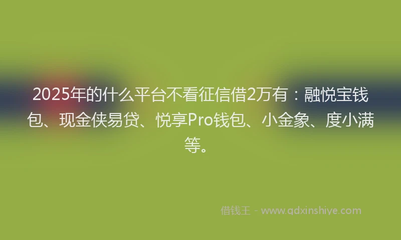 2025年的什么平台不看征信借2万有：融悦宝钱包、现金侠易贷、悦享Pro钱包、小金象、度小满等。