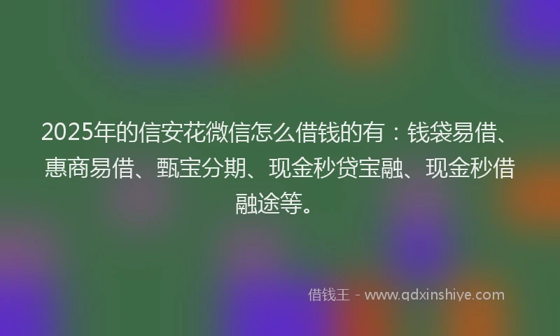2025年的信安花微信怎么借钱的有：钱袋易借、惠商易借、甄宝分期、现金秒贷宝融、现金秒借融途等。