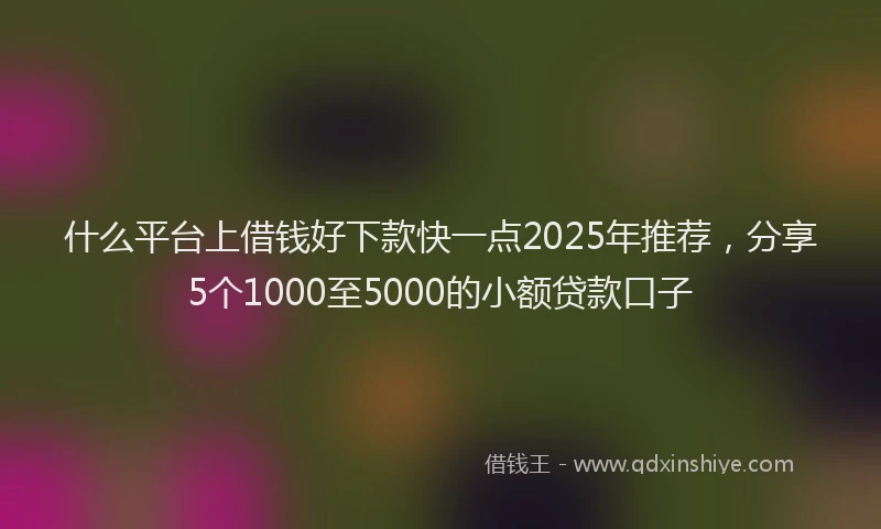 什么平台上借钱好下款快一点2025年推荐，分享5个1000至5000的小额贷款口子