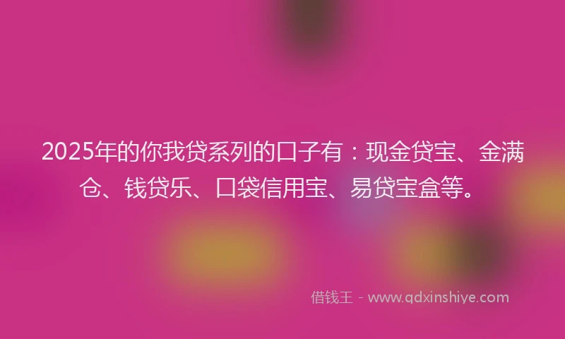 2025年的你我贷系列的口子有：现金贷宝、金满仓、钱贷乐、口袋信用宝、易贷宝盒等。