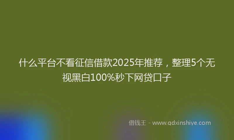 什么平台不看征信借款2025年推荐，整理5个无视黑白100%秒下网贷口子