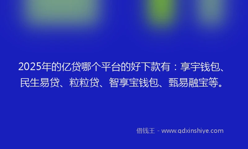 2025年的亿贷哪个平台的好下款有：享宇钱包、民生易贷、粒粒贷、智享宝钱包、甄易融宝等。