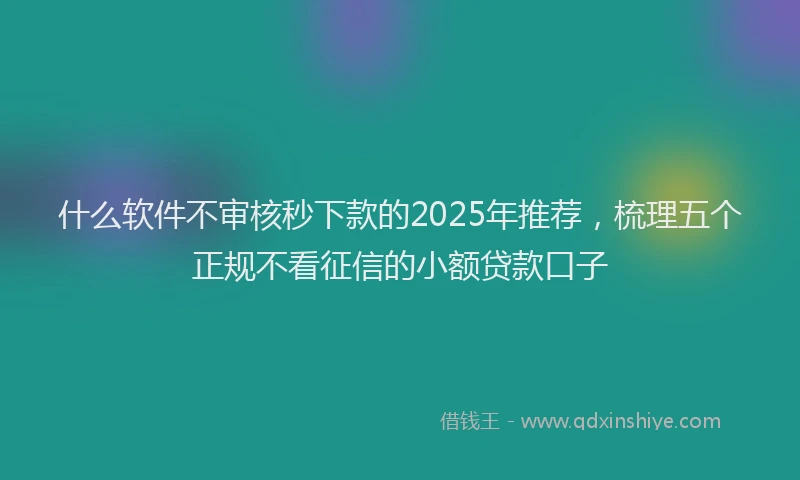 什么软件不审核秒下款的2025年推荐，梳理五个正规不看征信的小额贷款口子