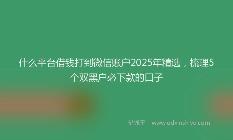 什么平台借钱打到微信账户2025年精选，梳理5个双黑户必下款的口子