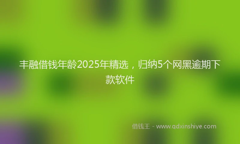丰融借钱年龄2025年精选，归纳5个网黑逾期下款软件