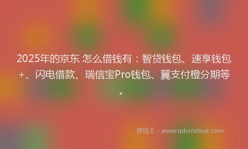 2025年的京东 怎么借钱有：智贷钱包、速享钱包+、闪电借款、瑞信宝Pro钱包、翼支付橙分期等。