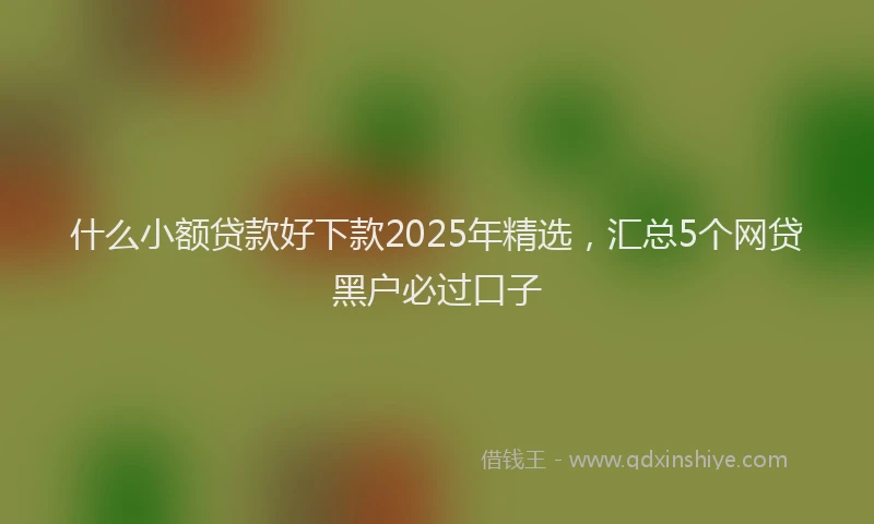什么小额贷款好下款2025年精选,汇总5个网贷黑户必过口子