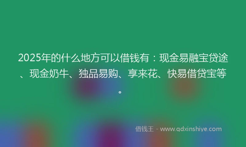 2025年的什么地方可以借钱有：现金易融宝贷途、现金奶牛、独品易购、享来花、快易借贷宝等。