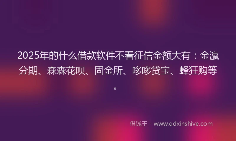 2025年的什么借款软件不看征信金额大有:金瀛分期、森森花呗、固金所、哆哆贷宝、蜂狂购等。