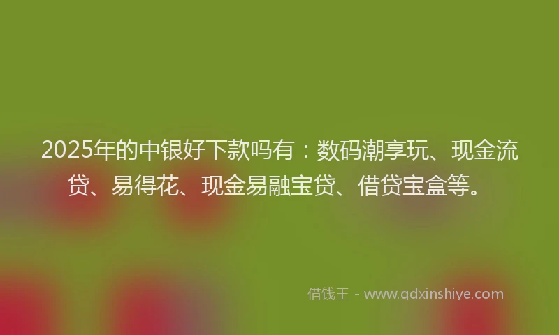 2025年的中银好下款吗有：数码潮享玩、现金流贷、易得花、现金易融宝贷、借贷宝盒等。