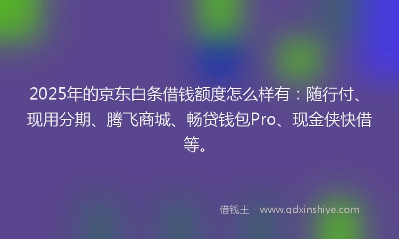 2025年的京东白条借钱额度怎么样有：随行付、现用分期、腾飞商城、畅贷钱包Pro、现金侠快借等。