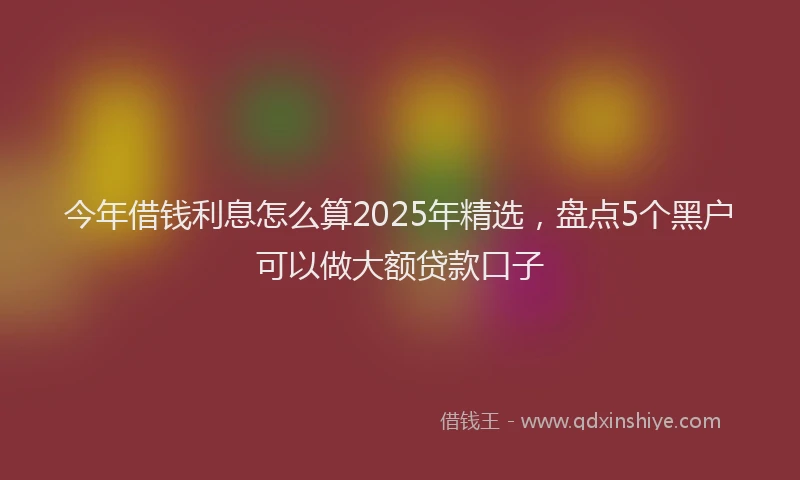 今年借钱利息怎么算2025年精选，盘点5个黑户可以做大额贷款口子
