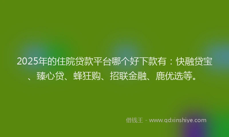 2025年的住院贷款平台哪个好下款有：快融贷宝、臻心贷、蜂狂购、招联金融、鹿优选等。