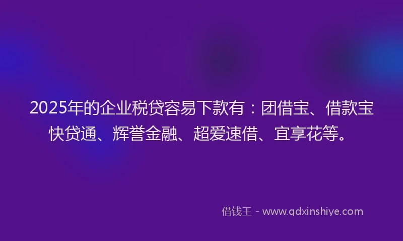 2025年的企业税贷容易下款有：团借宝、借款宝快贷通、辉誉金融、超爱速借、宜享花等。
