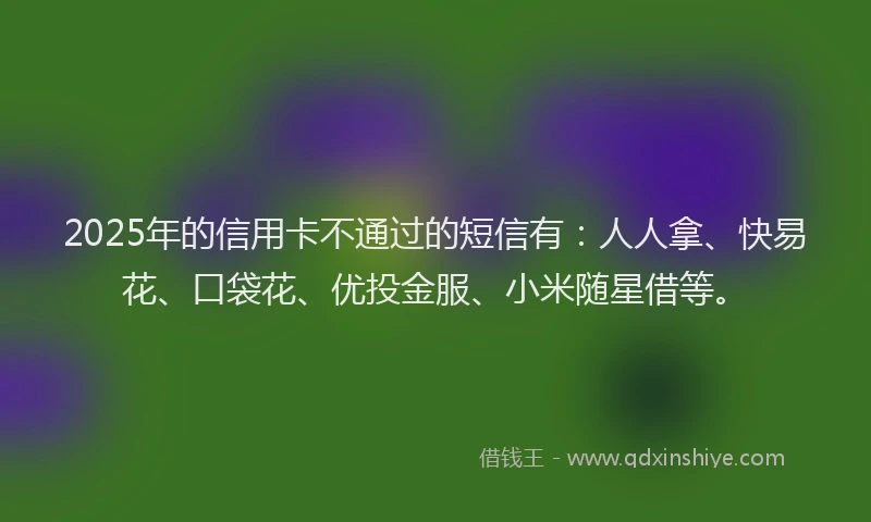 2025年的信用卡不通过的短信有：人人拿、快易花、口袋花、优投金服、小米随星借等。