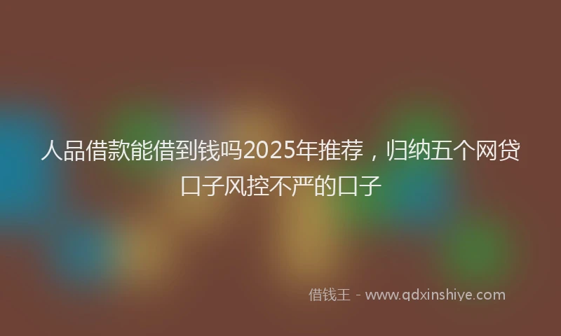 人品借款能借到钱吗2025年推荐，归纳五个网贷口子风控不严的口子