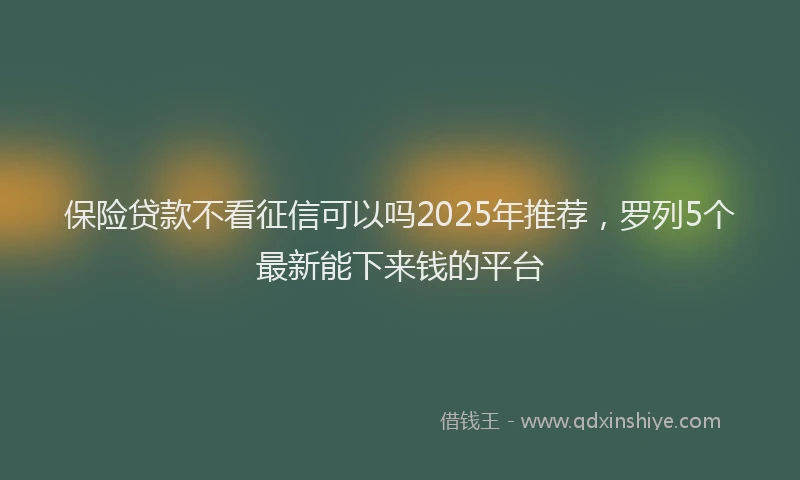 保险贷款不看征信可以吗2025年推荐，罗列5个最新能下来钱的平台