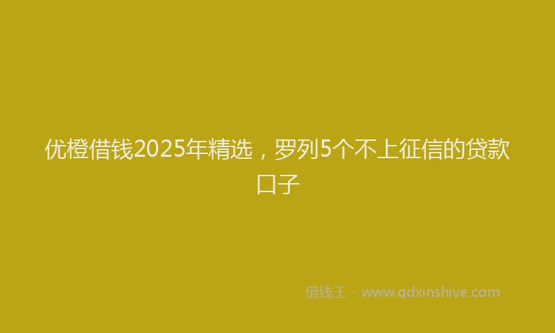 优橙借钱2025年精选，罗列5个不上征信的贷款口子