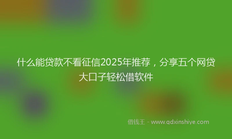什么能贷款不看征信2025年推荐,分享五个网贷大口子轻松借软件