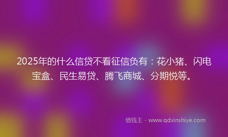 2025年的什么信贷不看征信负有：花小猪、闪电宝盒、民生易贷、腾飞商城、分期悦等。