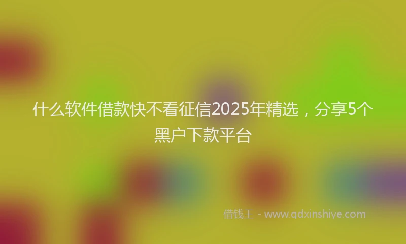 什么软件借款快不看征信2025年精选，分享5个黑户下款平台