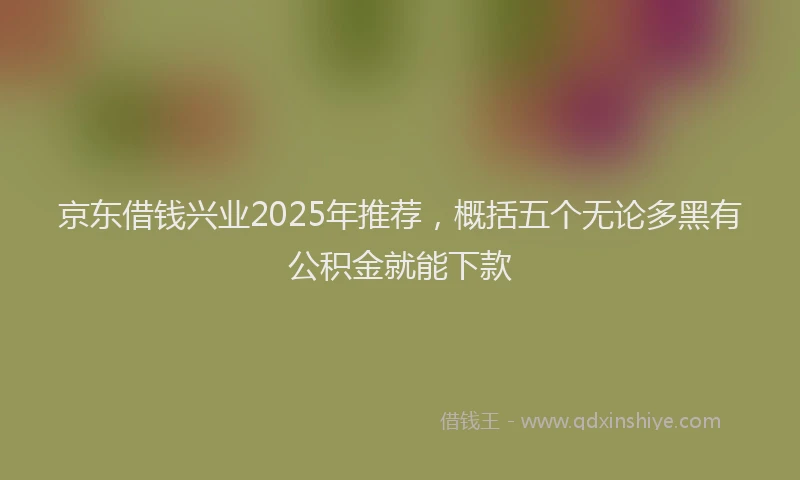 京东借钱兴业2025年推荐，概括五个无论多黑有公积金就能下款