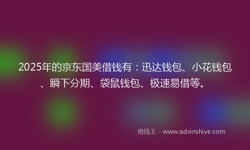 2025年的京东国美借钱有：迅达钱包、小花钱包、瞬下分期、袋鼠钱包、极速易借等。