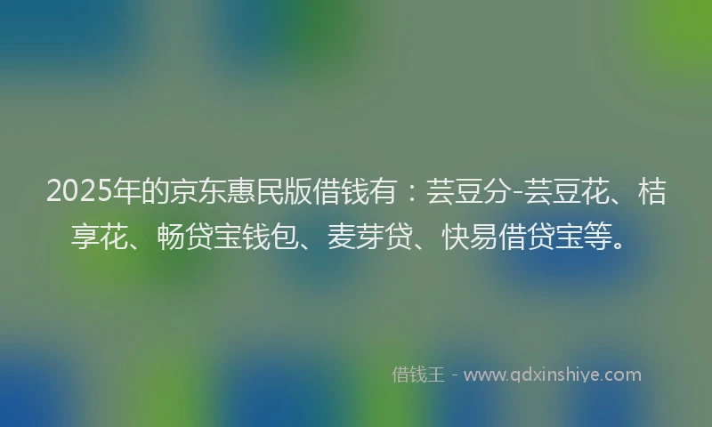 2025年的京东惠民版借钱有：芸豆分-芸豆花、桔享花、畅贷宝钱包、麦芽贷、快易借贷宝等。