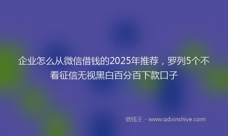企业怎么从微信借钱的2025年推荐，罗列5个不看征信无视黑白百分百下款口子