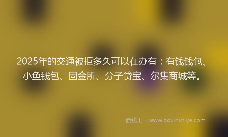 2025年的交通被拒多久可以在办有：有钱钱包、小鱼钱包、固金所、分子贷宝、尔集商城等。