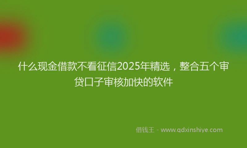 什么现金借款不看征信2025年精选，整合五个审贷口子审核加快的软件