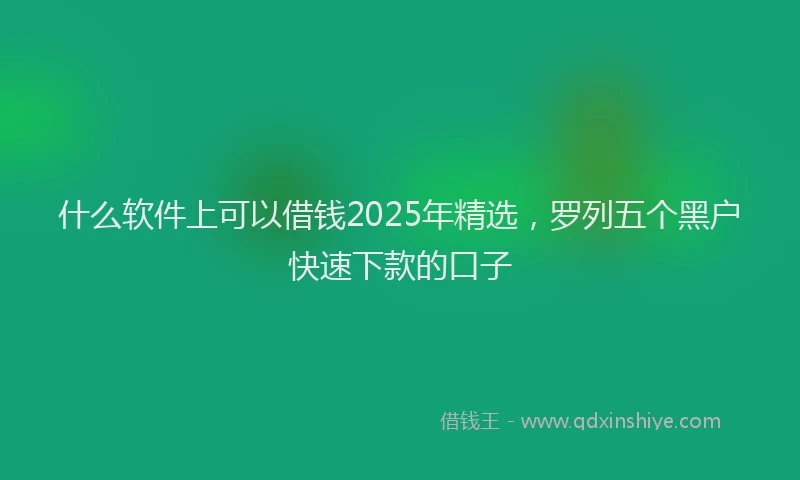 什么软件上可以借钱2025年精选，罗列五个黑户快速下款的口子
