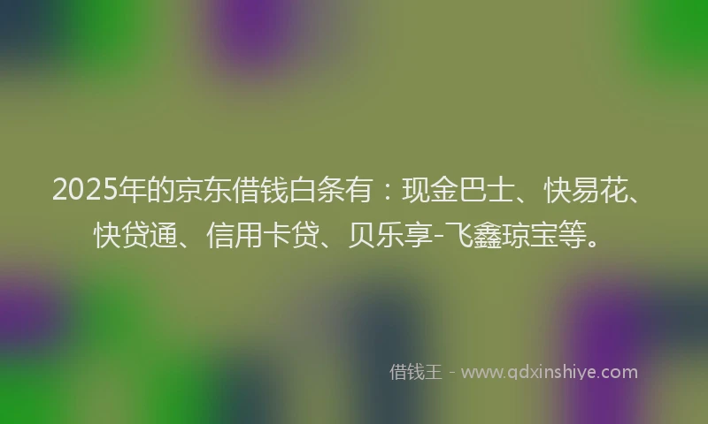 2025年的京东借钱白条有：现金巴士、快易花、快贷通、信用卡贷、贝乐享-飞鑫琼宝等。