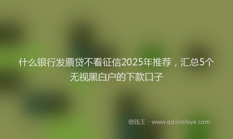 什么银行发票贷不看征信2025年推荐，汇总5个无视黑白户的下款口子