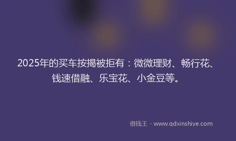 2025年的买车按揭被拒有:微微理财、畅行花、钱速借融、乐宝花、小金豆等。