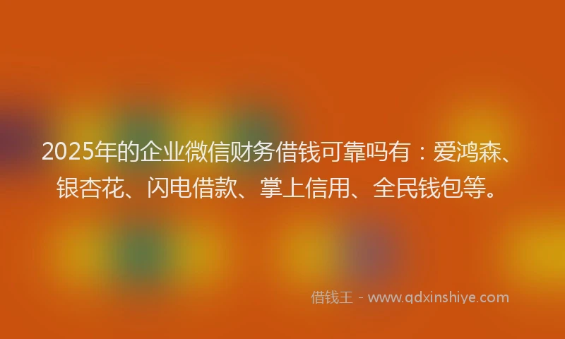 2025年的企业微信财务借钱可靠吗有：爱鸿森、银杏花、闪电借款、掌上信用、全民钱包等。