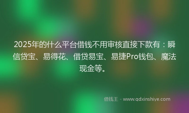2025年的什么平台借钱不用审核直接下款有：瞬信贷宝、易得花、借贷易宝、易捷Pro钱包、魔法现金等。