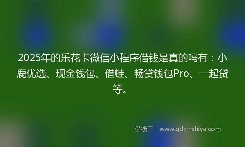 2025年的乐花卡微信小程序借钱是真的吗有：小鹿优选、现金钱包、借蛙、畅贷钱包Pro、一起贷等。