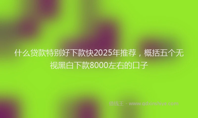 什么贷款特别好下款快2025年推荐，概括五个无视黑白下款8000左右的口子