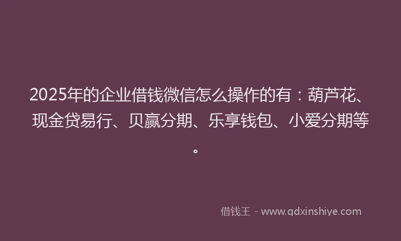 2025年的企业借钱微信怎么操作的有：葫芦花、现金贷易行、贝赢分期、乐享钱包、小爱分期等。
