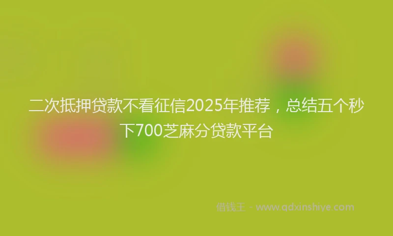 二次抵押贷款不看征信2025年推荐，总结五个秒下700芝麻分贷款平台