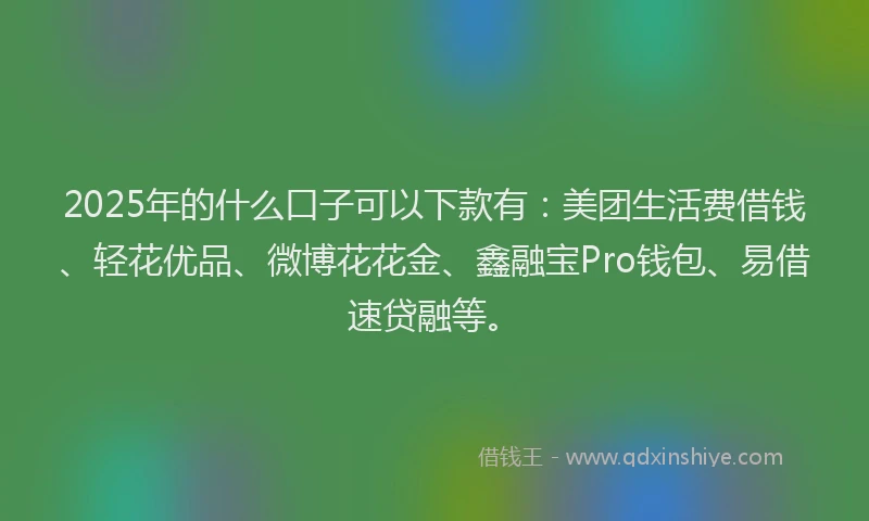2025年的什么口子可以下款有：美团生活费借钱、轻花优品、微博花花金、鑫融宝Pro钱包、易借速贷融等。