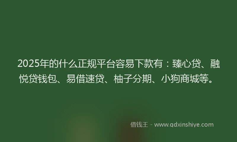 2025年的什么正规平台容易下款有：臻心贷、融悦贷钱包、易借速贷、柚子分期、小狗商城等。