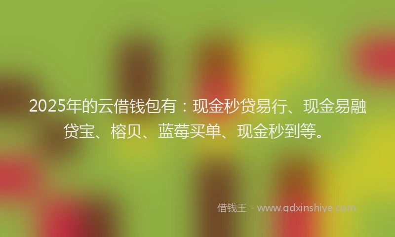 2025年的云借钱包有：现金秒贷易行、现金易融贷宝、榕贝、蓝莓买单、现金秒到等。
