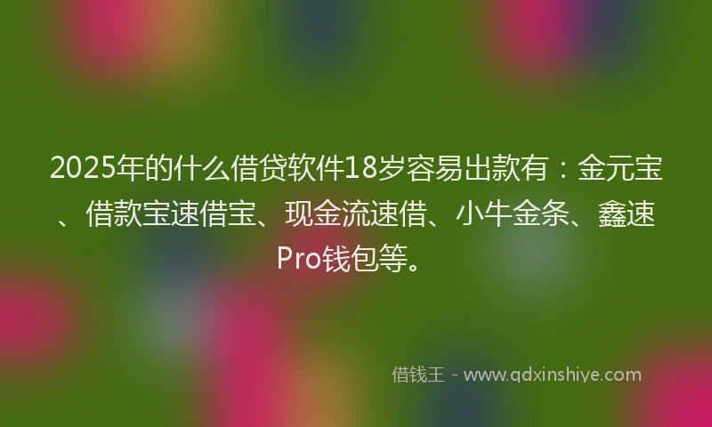 2025年的什么借贷软件18岁容易出款有：金元宝、借款宝速借宝、现金流速借、小牛金条、鑫速Pro钱包等。