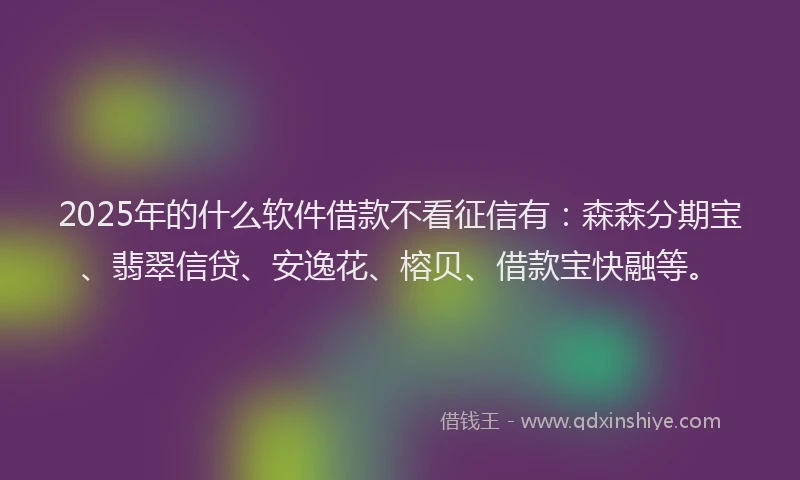 2025年的什么软件借款不看征信有：森森分期宝、翡翠信贷、安逸花、榕贝、借款宝快融等。