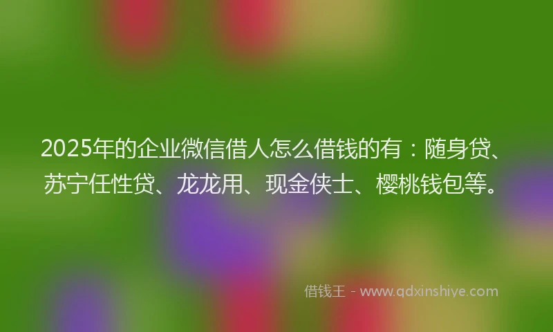 2025年的企业微信借人怎么借钱的有：随身贷、苏宁任性贷、龙龙用、现金侠士、樱桃钱包等。