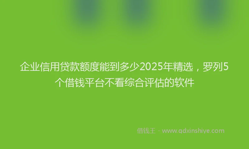 企业信用贷款额度能到多少2025年精选，罗列5个借钱平台不看综合评估的软件