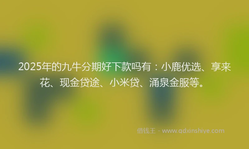 2025年的九牛分期好下款吗有：小鹿优选、享来花、现金贷途、小米贷、涌泉金服等。