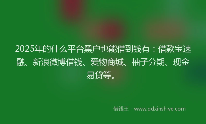 2025年的什么平台黑户也能借到钱有：借款宝速融、新浪微博借钱、爱物商城、柚子分期、现金易贷等。